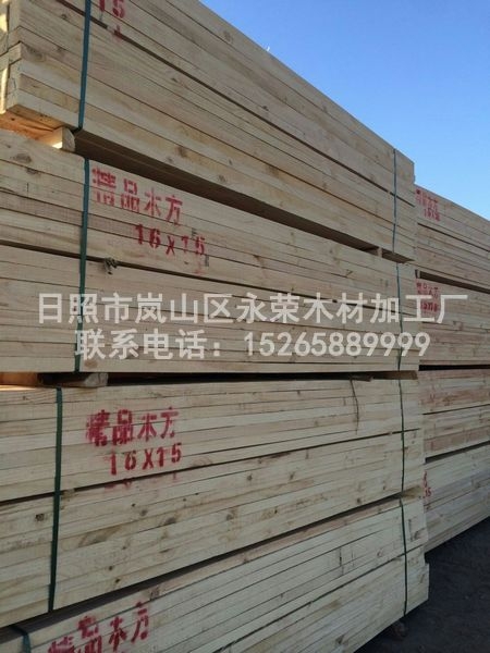 辐射松工程宅男视频在线看污