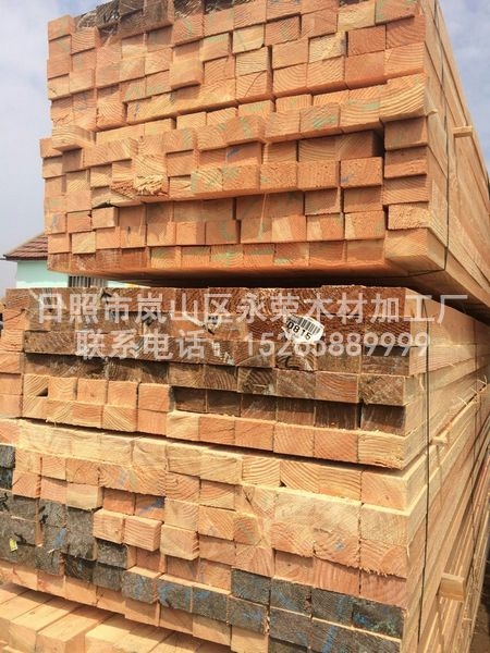 花旗松建筑宅男APP免费观看破解版