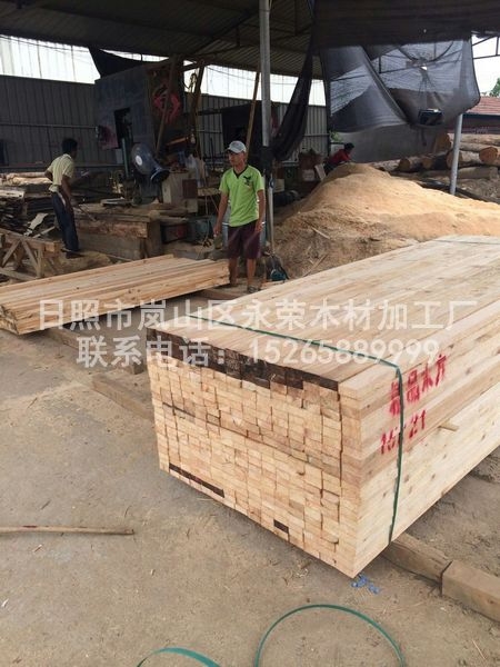 铁杉建筑工地宅男APP免费观看破解版