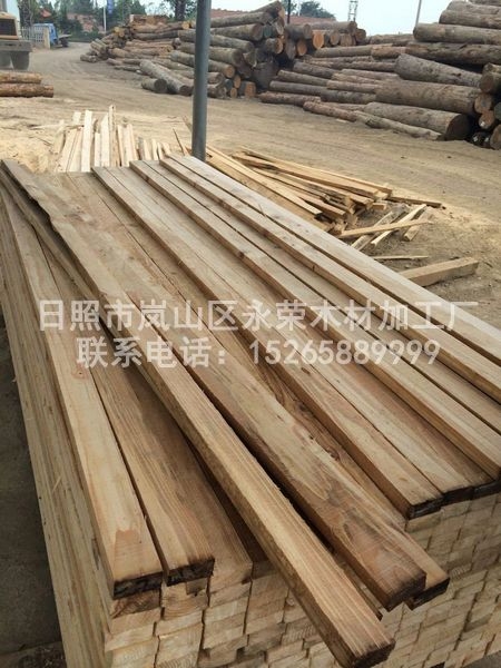 铁杉建筑宅男视频在线看污